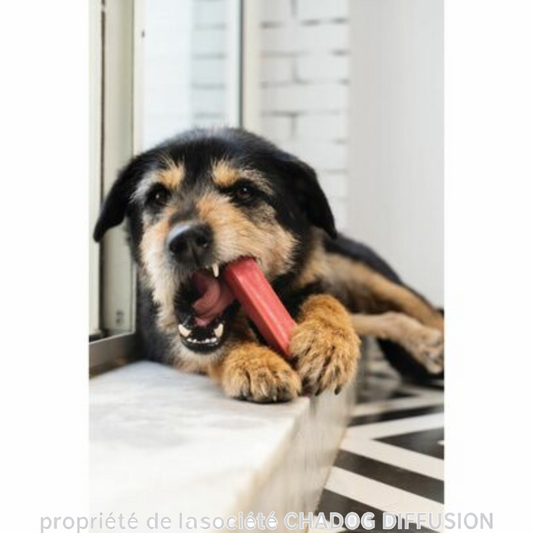 Fromage Cheese Treat à la fraise