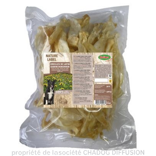 Oreilles lapin sans poils