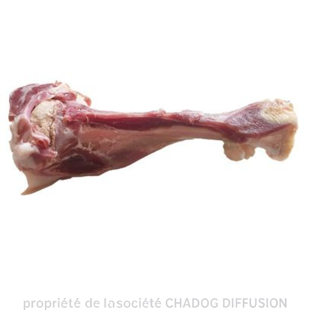 Os de jambon italien pour chien