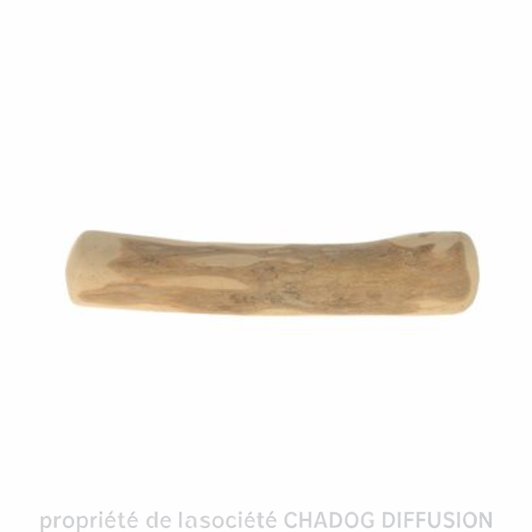 Bois de Caféier à mâcher