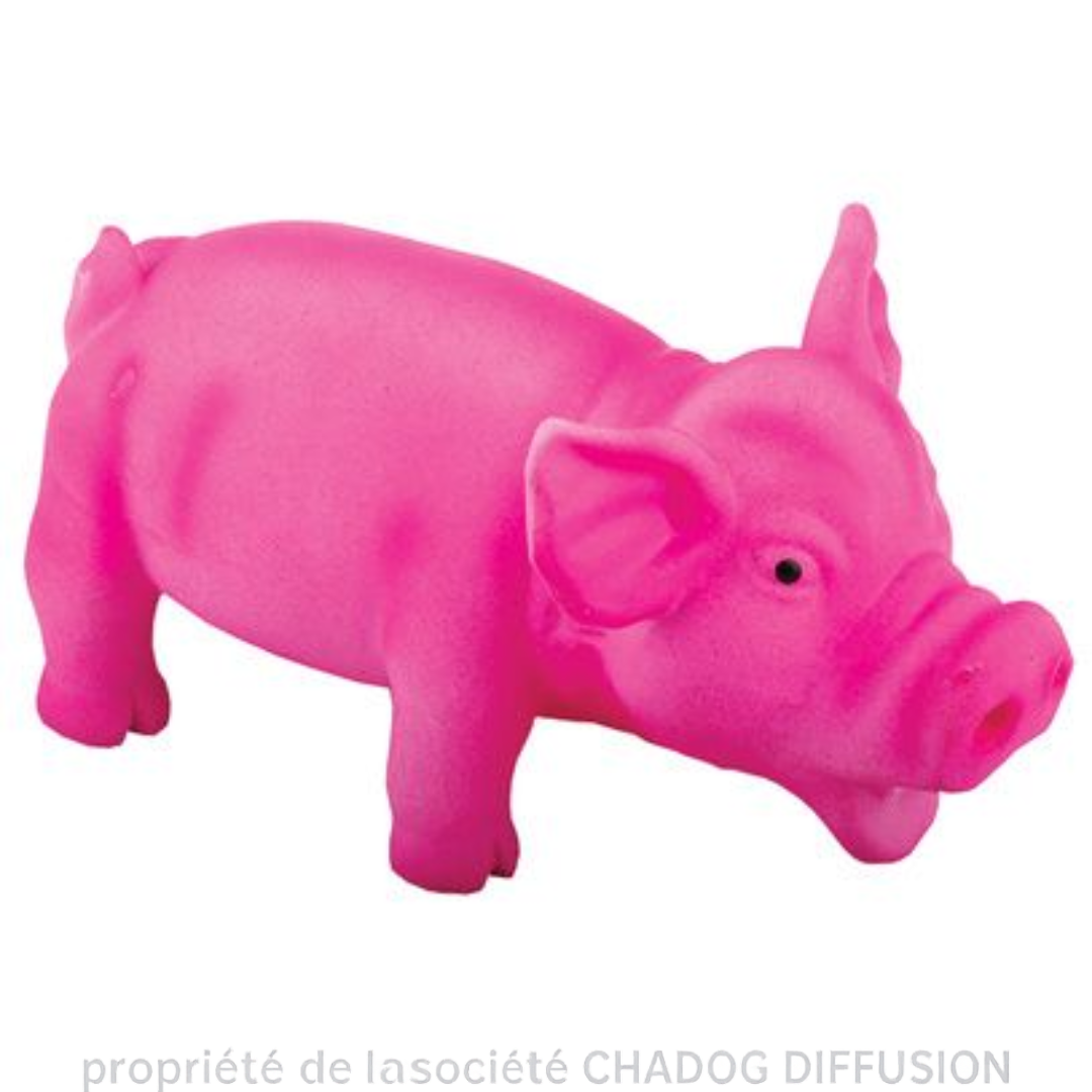 Jouet Cochon en Latex pour Chien