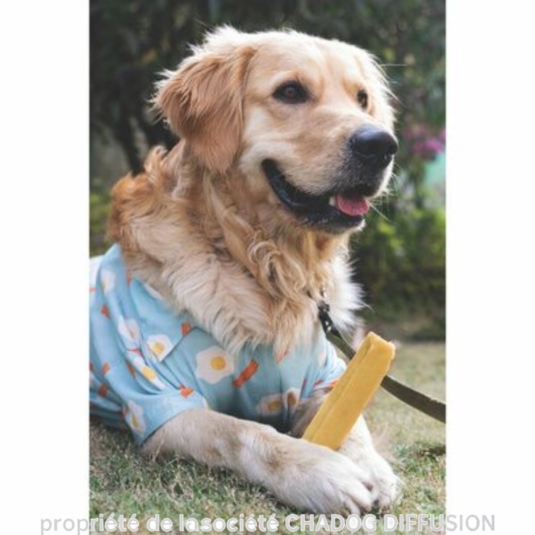 Fromage de Yak Cheese treat nature