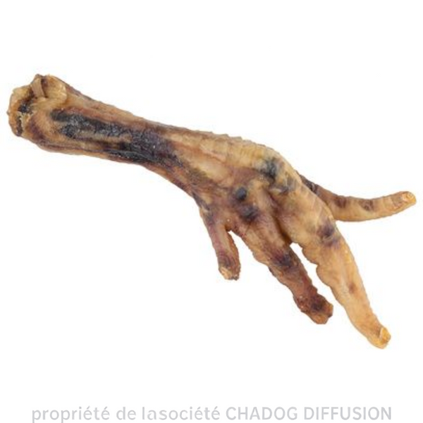 Pattes de poulet naturelles